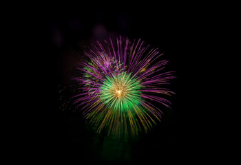 Fototapeta premium An isolated, colorful firework burst against a black background.