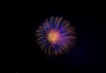 A single firework bursts in the night sky, isolated against a black background. The firework is purple and orange, with a starburst shape.