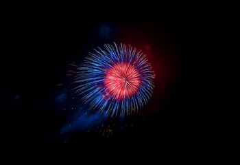 Fototapeta premium A single firework explodes in a burst of red and blue against a black background.