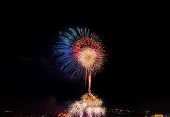 A vibrant firework display against a dark, isolated background.