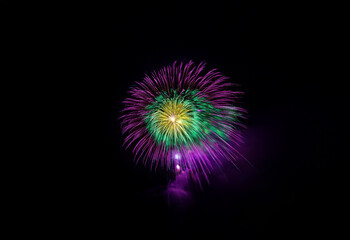 Fototapeta premium A vibrant firework display with purple, green, and yellow hues bursts against a black background.