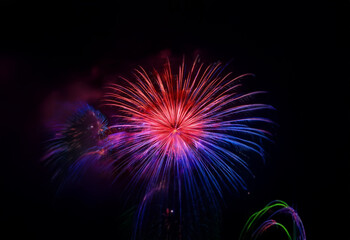 A single firework bursts against a dark sky, its red, purple, and blue streaks radiating outwards.