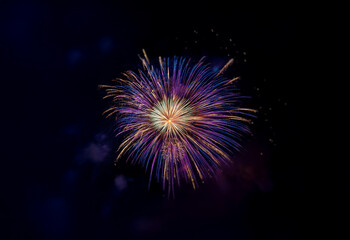 Fototapeta premium An isolated firework display explodes in a vibrant burst of purple, blue, and gold against a black background.