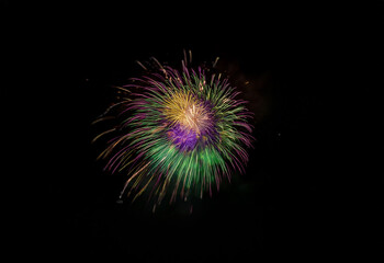 Fototapeta premium A single firework bursts against a black background, revealing a bright burst of purple, green, and yellow light.