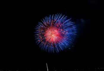 Fototapeta premium A single firework bursts in the night sky, isolated against a black background.
