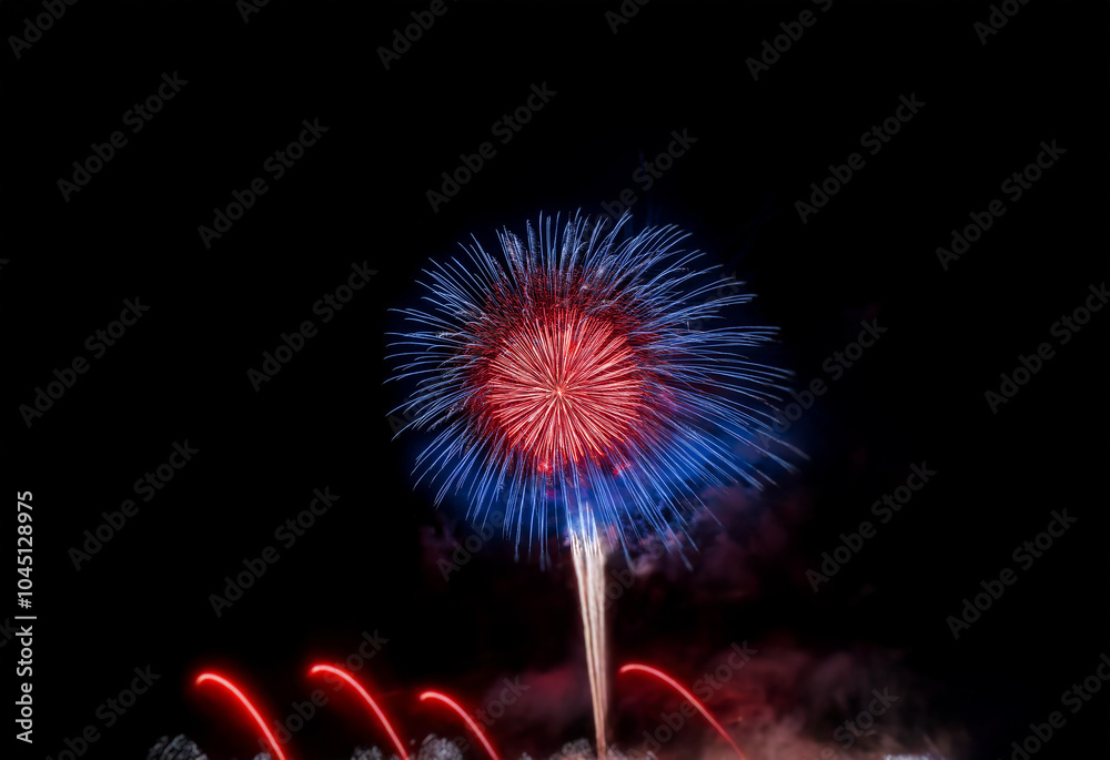 Poster a single firework explodes in a burst of red and blue against a black sky.