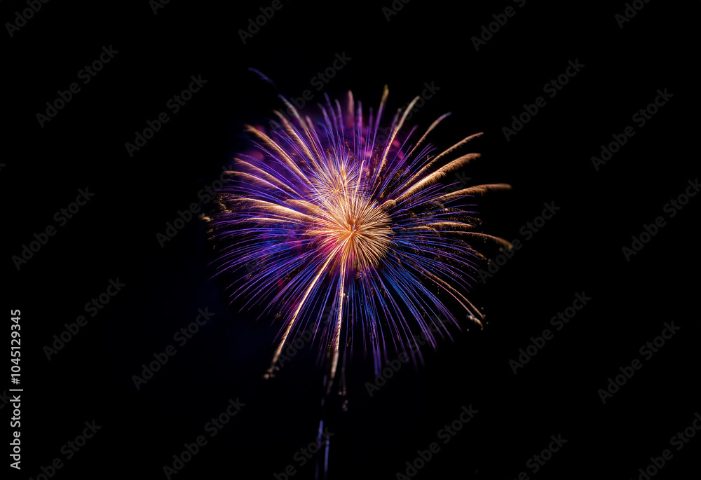 Poster a single firework explodes in a burst of purple and yellow against a black background.