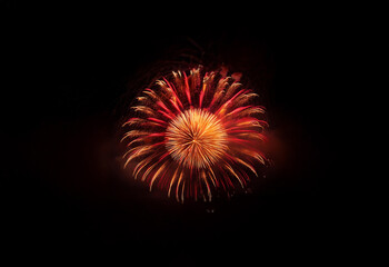 An isolated, circular burst of fireworks against a black background.