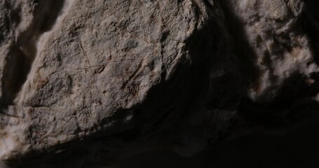 Shadowed Close-Up of a Weathered Stone Surface