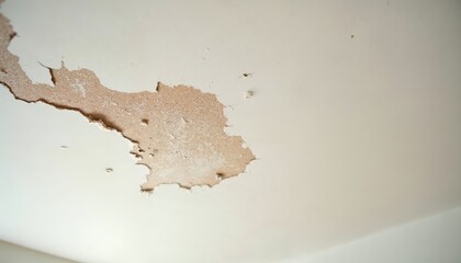 Image Depicting a Damaged Ceiling with Peeling Paint and Exposed Drywall Highlighting the Urgent Need for Home Repair and Renovation.