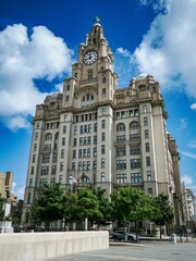 Fototapeta premium Royal Liver Building with trees in front of it, and clear, blue sky behind it in Liverpool, England