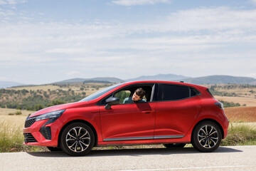 A man gets out of his stopped car because it has broken down. Moments of desperation and frustration due to the truncated vacation.