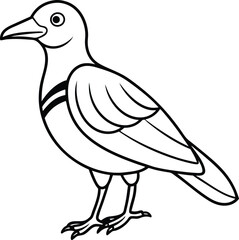 duck isolated on white