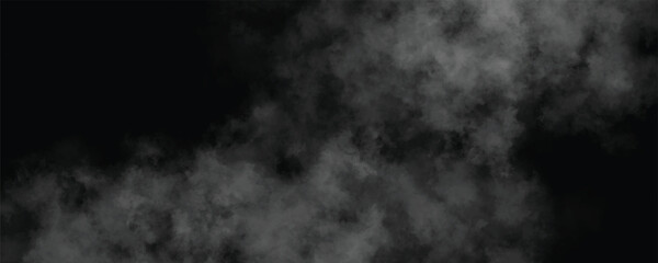 Fototapeta premium An Enigmatic Veil of Fog Hiding Secrets Within Its Silent and Ominous Embrace Beneath the Moonless Sky 