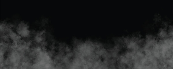 A Mysterious Shroud of Shadows Cloaking the Forgotten World Beneath the Stars and Veiled in Silence
