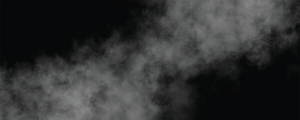 Fototapeta premium A Mysterious Shroud of Shadows Cloaking the Forgotten World Beneath the Stars and Veiled in Silence 