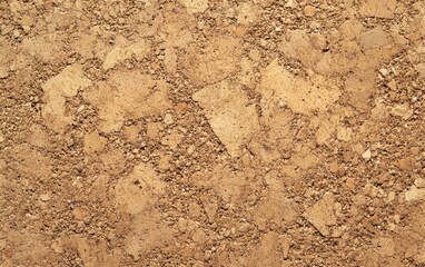Cork Texture: Soft, textured cork with a natural, earthy tone, perfect for eco-friendly themes. 