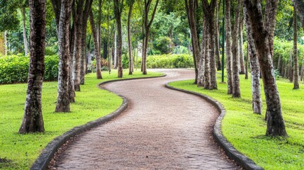 Obraz premium Serene Winding Pathway Through a Peaceful Park Scene