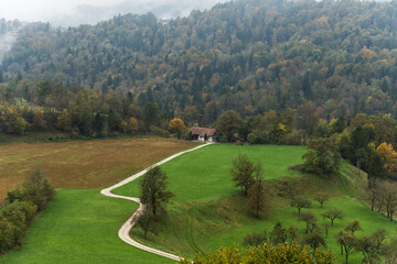  A serene countryside landscape featuring a winding path leading to a house, surrounded by lush green fields and dense forested hills. 