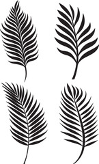 Obraz premium set of black and white feathers