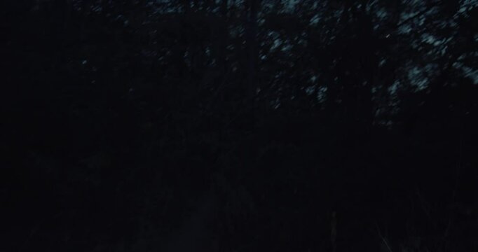 A dimly lit forest path at night creates a tense and eerie atmosphere, POV handheld shot.