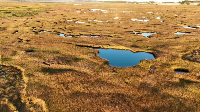 Cape cod salt marsh at sunrise with small ponds and golden grasses, aerial view