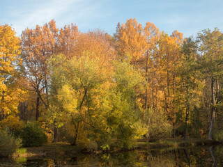 landscape in autumn park