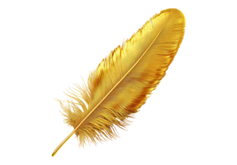 Photo of golden feather .Transparent background. Isolated PNG.
