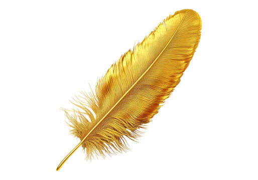 Fototapeta Photo of golden feather .Transparent background. Isolated PNG.