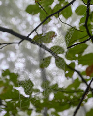 Autunno e Foliage nel Parco Nazionale della Maiella