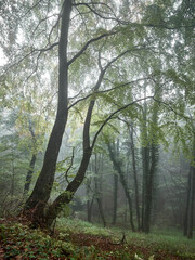 Autunno e Foliage nel Parco Nazionale della Maiella