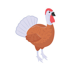 Ready to use isometric icon of turkey bird, thanksgiving concept