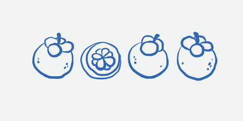 Hand-drawn set of mangosteen. Tropical fruit. Line art. Vector illustration.