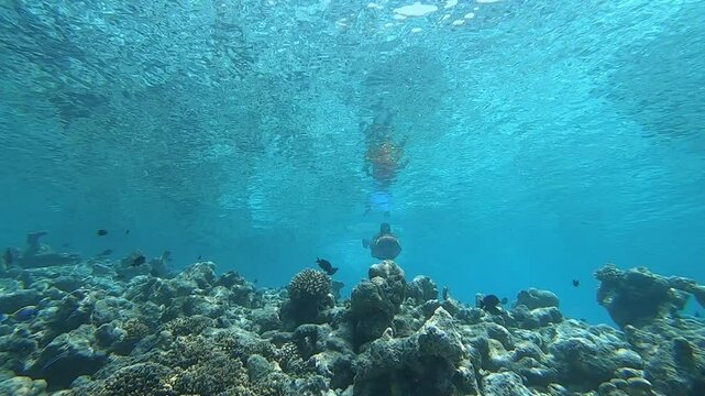 seabob ride