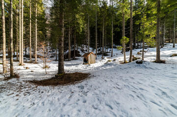Gleris Valley. Winter in a wild valley in the Alps. Friulian Carnic Alps