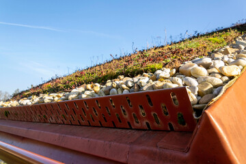 Green ecological sod roof on wooden building covered with vegetation