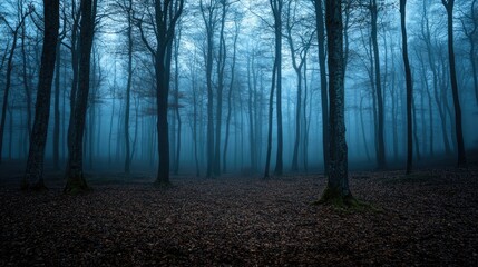 Obraz premium Dark blue fog covering the woods at twilight