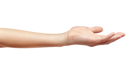 female hand holding something isolated on white or transparent png