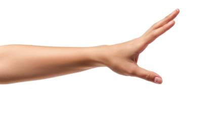 female hand holding something isolated on white or transparent png