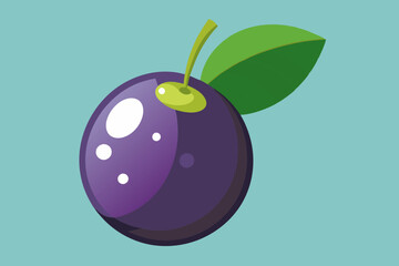 Beautiful fruit jabuticaba vector art illustration