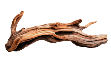 A beautifully textured piece of driftwood isolated on transparent background, showcasing organic shapes and colors.