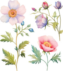 Obraz premium pink and white flowers