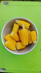 Freshly harvested corn displayed in a bowl on a bright green table during a sunny afternoon in a rural area