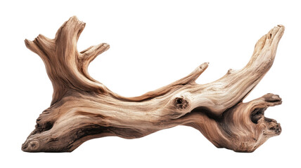 Fototapeta premium Unique driftwood piece, showcasing intricate textures and natural patterns, isolated on transparent background.
