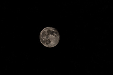 Obraz premium full moon in the night