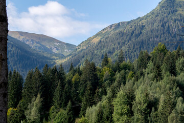 Fototapeta premium yosemite valley state