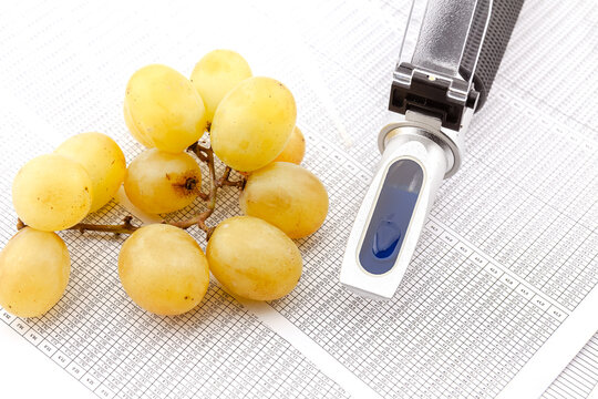 Refractometer for measuring grape sugar