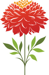 dahlia flower vector