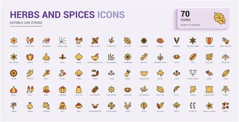 Herbs colorful line icons set. Includes thin line natural, medicine, traditional, spice, treatment, condiment and more. Editable stroke. Vector illustration. Icon names are written in English.