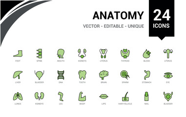 Fototapeta premium Human Anatomy colorful set of web icons in line style. Contains such icons as anatomical, organs, anatomy, body, bone and more. Editable vector illustration. Icon names are written in English.